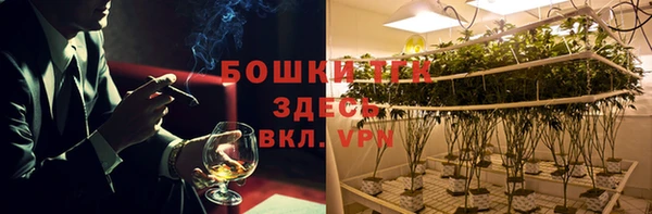 соль ск Алзамай