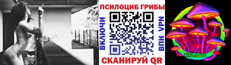 Галлюциногенные грибы Psilocybe  Слободской 